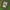 Streetwear Avant Garde Parka Pria multicolor photo 6