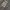 Streetwear Avant Garde Parka Pria multicolor photo 3