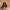 Y2K belt women photo 2
