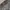 Decauville Pants Jeans Mit Geradem Bein Leather Denim Pants photo 3