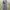 Decauville Pants Jeans Mit Geradem Bein Leather Denim Pants
