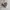 Vintage Air Force QATAR Cap photo 2