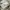 Unbrand White Balon Pants photo 6