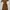 Bodycon dress Forever 21 photo 2