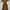 Bodycon Dress Forever 21