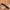 Jalin belt  photo 3