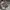 JACKET PARKA SCHOTT NYC photo 6