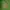 Schott NYC Streetwear Avant Garde Bomber Jacket Pria Green