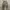 GU CARGO LONG PANTS  photo 1
