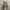 GU CARGO LONG PANTS  photo 3