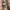 Carte Blanche leather x cotton belt photo 3