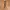 Carte Blanche leather x cotton belt photo 1