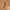 Leather x cotton  belt photo 1