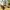 BOLON Eyewear BL3092 photo 3