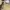 BOLON Eyewear BL3092 photo 4