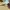 BOLON Eyewear BL3092 photo 5