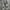 Converse one star  photo 1