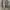 Converse one star  photo 4