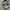 Converse one star  photo 3