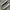 Converse one star  photo 2