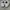 Nike Stussy x Air Zoom Spiridon  photo 5