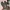 cher & sons size 37 photo 6