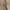 Shein Olive Green Balon Pants photo 4