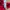 kaos kerah polos UNIQLO kaos polo shirt merah maroon casual  photo 5