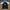Kaos Polo Shirt CANTERBURY Kaos Kerah  Formal Halfzip Casual