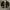 Jacket Sherpa Polar H/C Branded Size L/XL photo 1