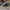 DUNK LOW PRO PRM SASHIKO PACK , DUNK LOW SASHIKO PACK , DUNK