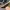 DUNK LOW PRO PRM SASHIKO PACK , DUNK LOW SASHIKO PACK , DUNK photo 6