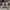 DUNK LOW PRO PRM SASHIKO PACK , DUNK LOW SASHIKO PACK , DUNK