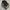 Salomon XT-6 GTX BLACK SILVER photo 1