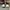 AIR JORDAN 1 LOW LIGHT SMOKE GREY , AIR JORDAN 1 LIGHT SMOKE photo 2