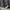 AIR JORDAN 1 LOW LIGHT SMOKE GREY , AIR JORDAN 1 LIGHT SMOKE photo 8