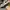 AIR JORDAN 1 LOW LIGHT SMOKE GREY , AIR JORDAN 1 LIGHT SMOKE photo 6