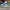 AIR JORDAN 1 LOW UNC BLUE , AIR JORDAN 1 LOW UNC , AIR JORDA photo 1