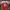 Jersey arsenal 2018 2019 Ozil photo 1