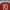 Jersey arsenal 2018 2019 Ozil photo 6