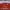 Jersey arsenal 2018 2019 Ozil photo 3