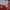 Jersey arsenal 2018 2019 Ozil photo 4