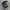 ARNETTE Sunglasses 4264 photo 3