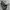 ARNETTE Sunglasses 4264 photo 2