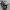 ARNETTE Sunglasses 4264