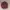 A bathing ape pirate original//bape second//a bathing ape th photo 1