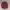 A Bathing Ape Pirate Original//bape Second//a Bathing Ape Th