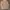 Uniqlo Streetwear Casual Bomber jacket Pria tan photo 2