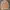 Uniqlo Streetwear Casual Bomber Jacket Pria Tan