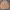 Uniqlo Streetwear Casual Bomber Jacket Pria Tan